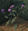 Scepter Thistle (skill node).png