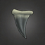 Sharp Metallic Tooth.png