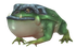 Slimy Fire Toad.png