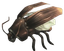 Smokeybrown Cockroach.png