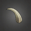 Smooth Goat Horn.png