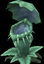 Snap Carnivorous Plant.png