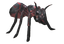 Soldier Giant Ant.png