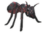 Soldier Giant Ant.png