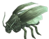 Speckled Cockroach.png