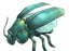 Spined Cockroach.png