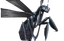 Steel Sheen Giant Wasp.png