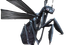 Steel Sheen Giant Wasp.png