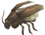 Stinking Cockroach.png