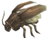 Stinking Cockroach.png