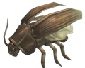 5 × Stinking Cockroach