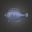 Stone Flounder.png