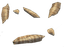 Streaky Bone Spike (skill node).png