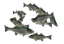 Striped Bass (skill node).png