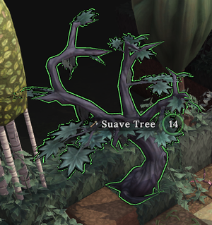 Suave Tree.png