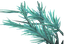 Tangled Pond Weed (skill node).png