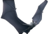 Tar Giant Bat.png