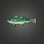 Teal Cod.png