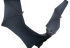 Tufted Giant Bat.png