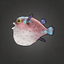 Unicorn Pufferfish.png