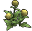 Veined Globeplant (skill node).png