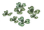 White Clover (skill node).png