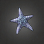 Wrinkled Starfish.png