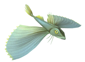 Yellowtail Gurnard (skill node).png